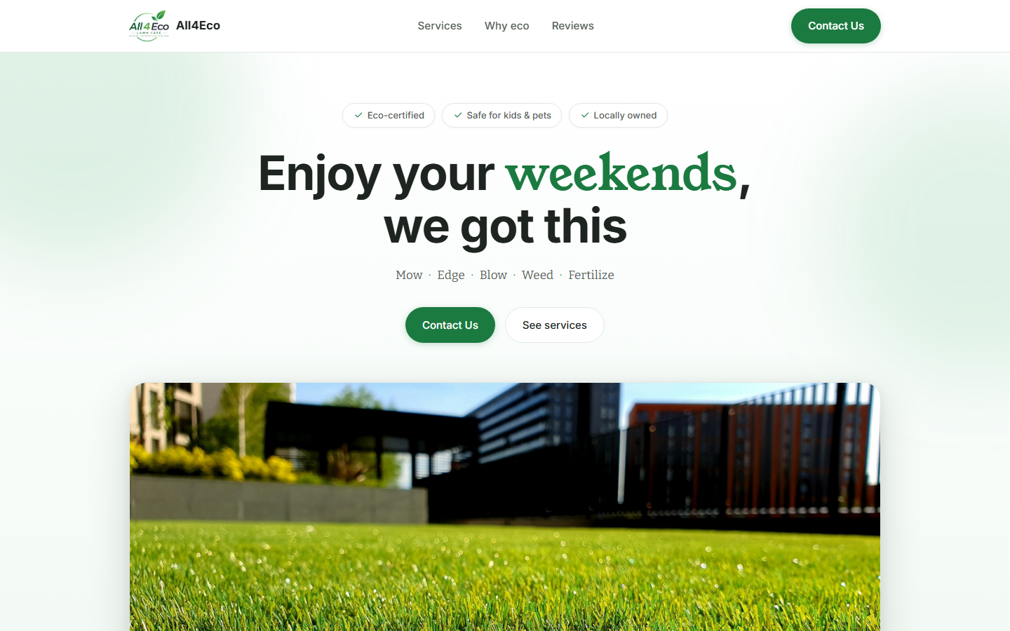 Preview of the Modern SaaS variation